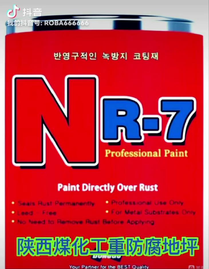NR-7氟硅防腐涂料